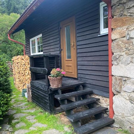 Apartman U Potucku Apartment Zelezna Ruda Luaran gambar