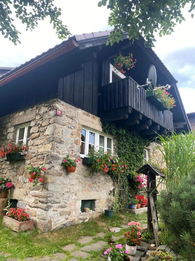 Apartman U Potucku Apartment Zelezna Ruda Luaran gambar